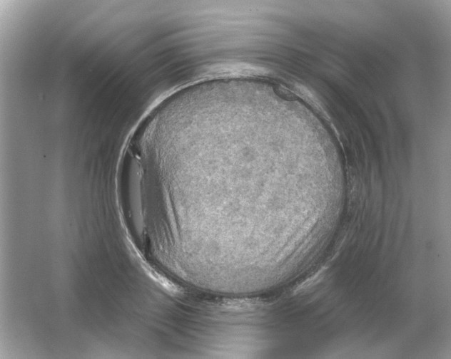 X0000063510843200602172144