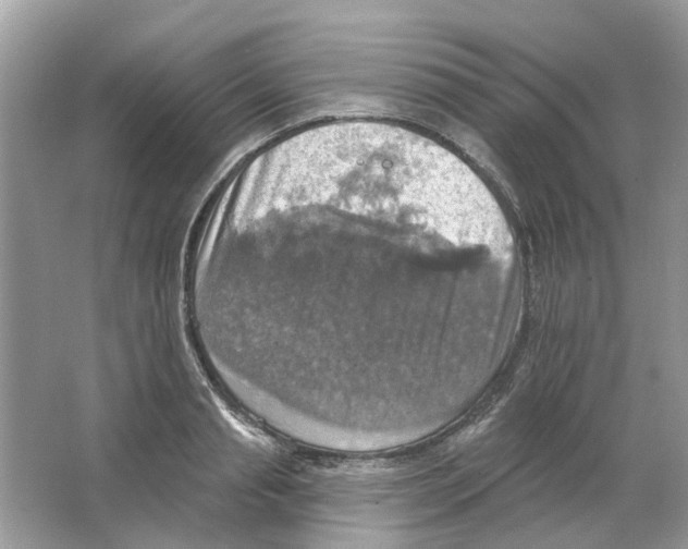 X0000063510845200602172144