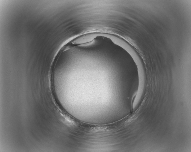 X0000063510846200602172144