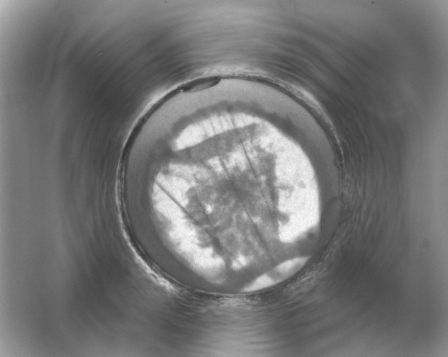 X0000063510847200602172144