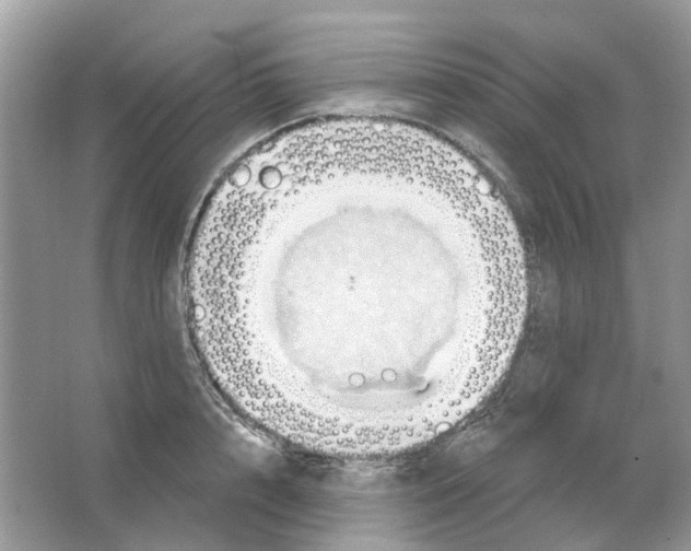 X0000063510848200602172144