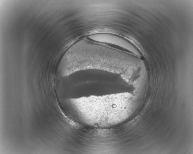 X0000063510849200602172144