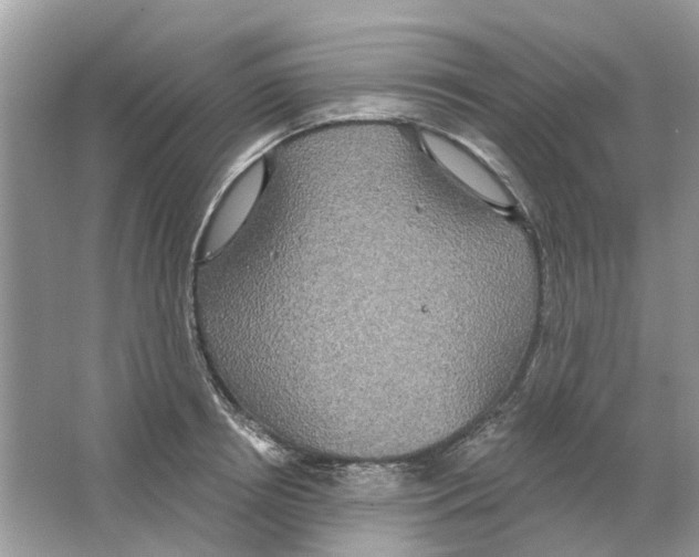 X0000063510850200602172144