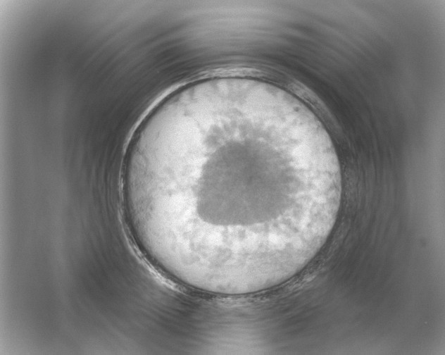 X0000063510852200602172144