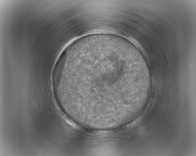 X0000063510854200602172144