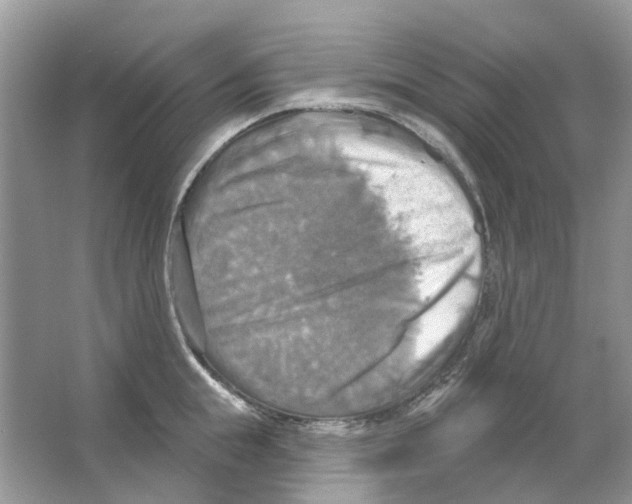 X0000063510855200602172144