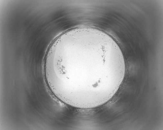 X0000063510856200602172144