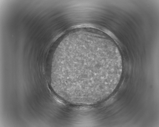 X0000063510857200602172144