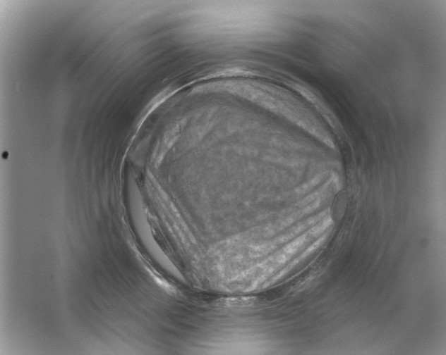 X0000063510858200602172144