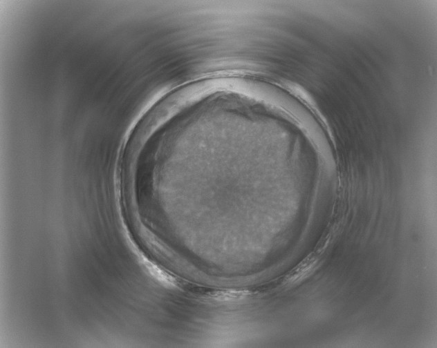 X0000063510859200602172144