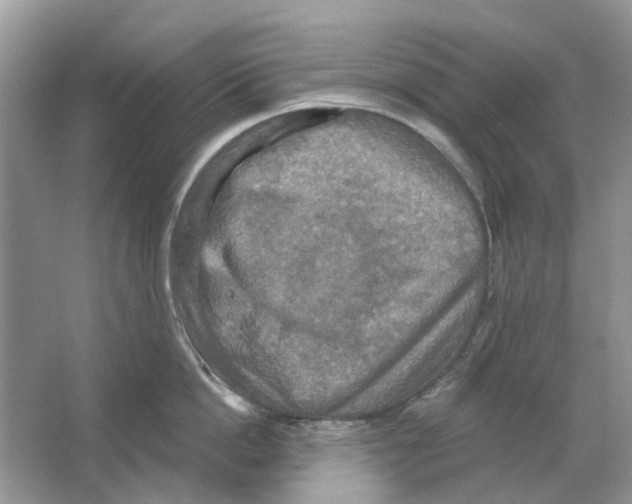 X0000063510862200602172144