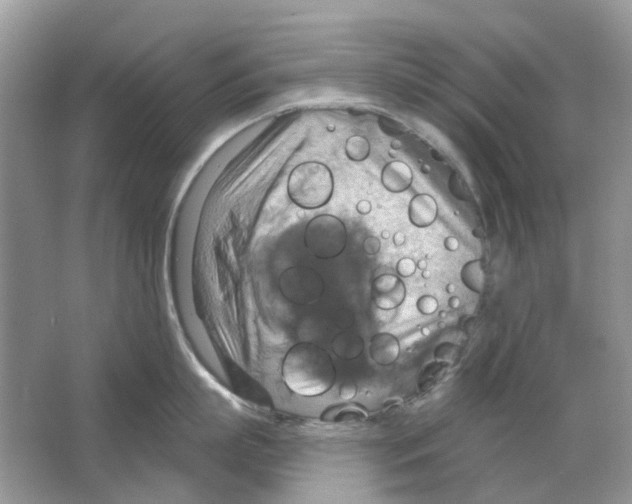 X0000063510863200602172144