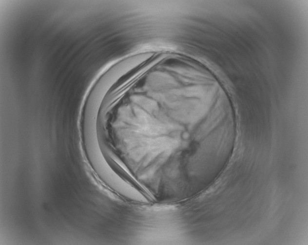 X0000063510864200602172144