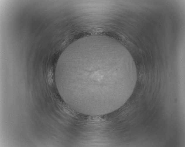 X0000063510866200602172143