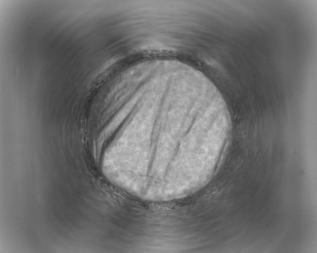 X0000063510870200602172143