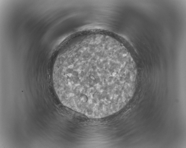 X0000063510871200602172143