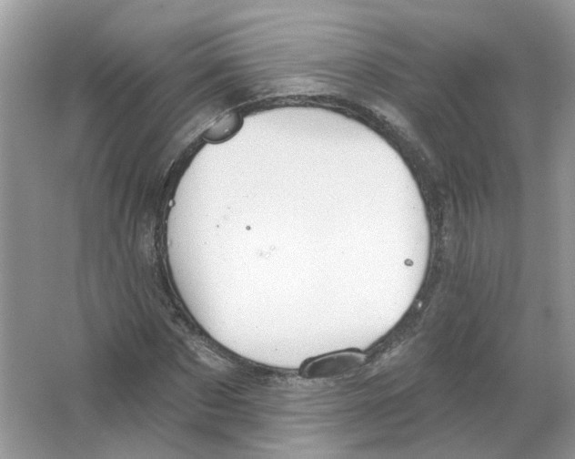 X0000063510873200602172143