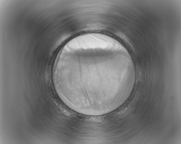 X0000063510874200602172143