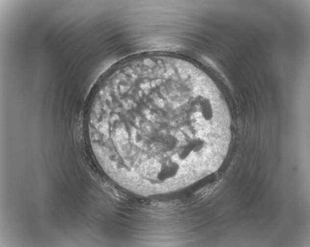 X0000063510875200602172143