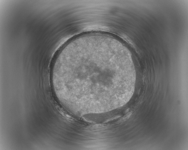 X0000063510877200602172143