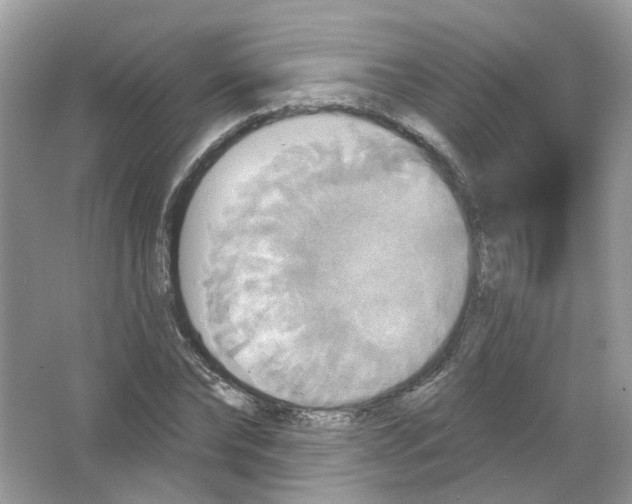 X0000063510878200602172143