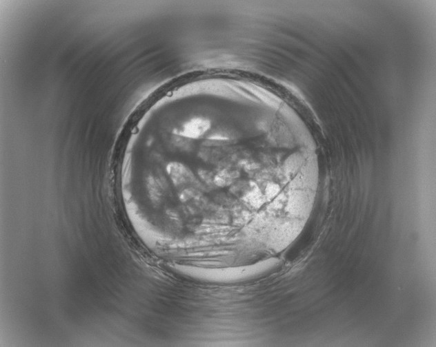 X0000063510879200602172143