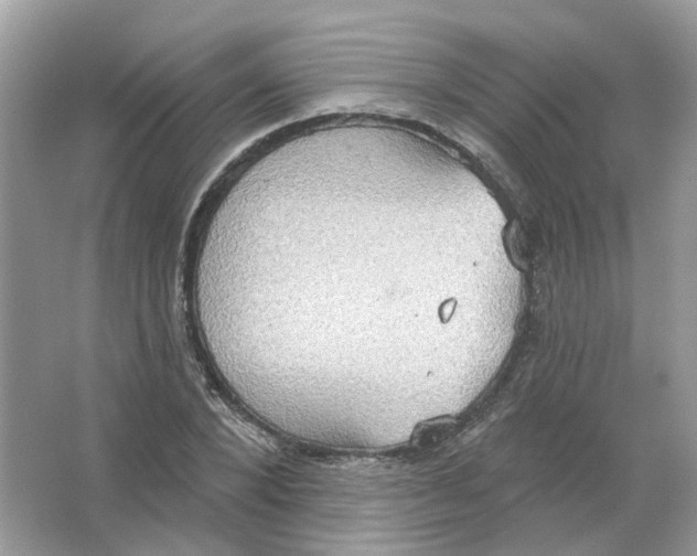 X0000063510880200602172143