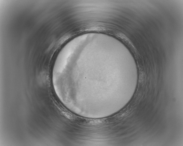 X0000063510882200602172143