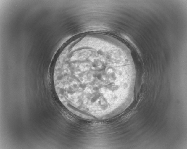 X0000063510883200602172143