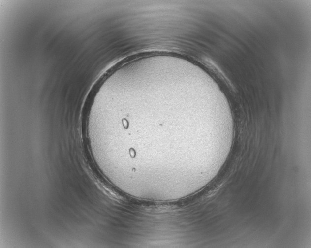 X0000063510884200602172143