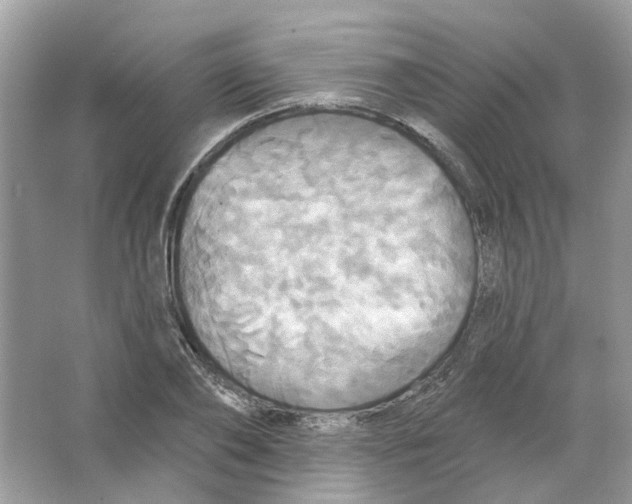 X0000063510886200602172143