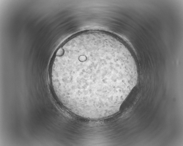 X0000063510887200602172143