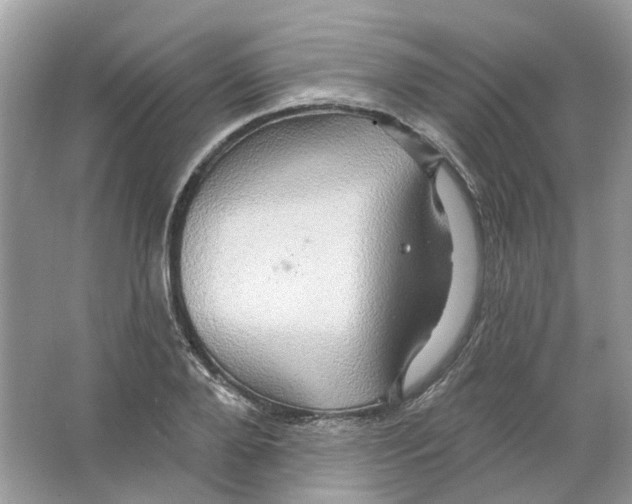 X0000063510888200602172143