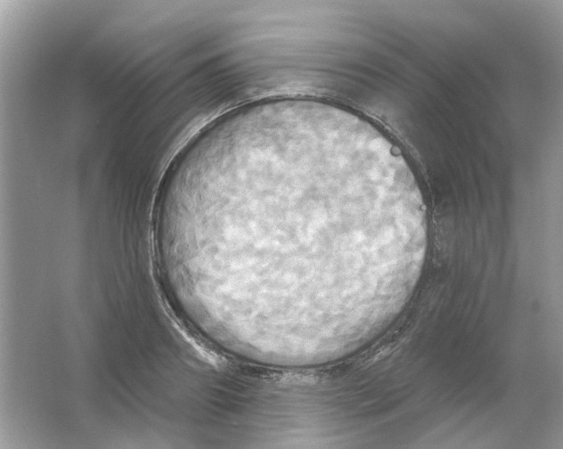 X0000063510890200602172143