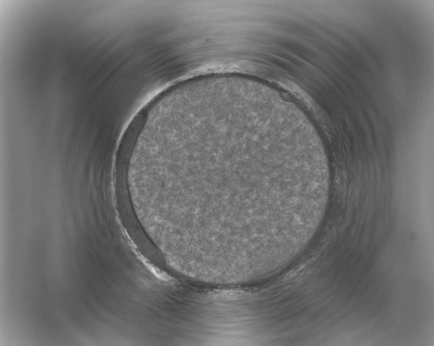 X0000063510894200602172143