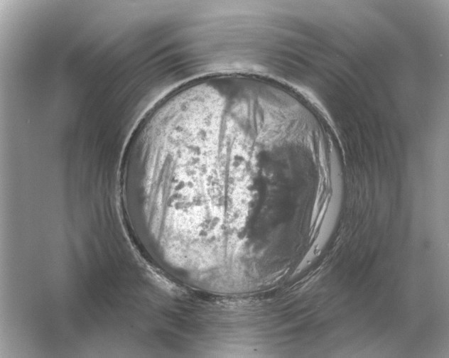 X0000063510895200602172143