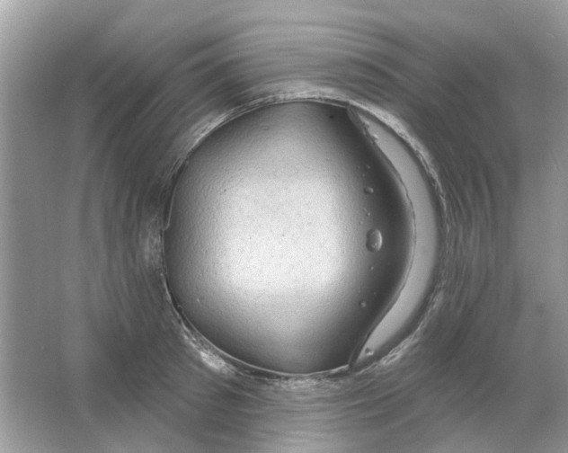 X0000063510897200602172143