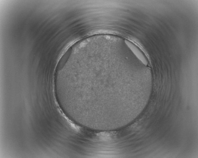 X0000063510898200602172143