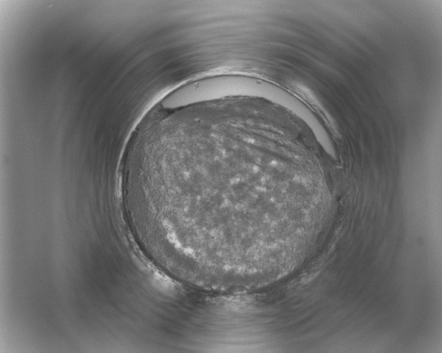 X0000063510900200602172143