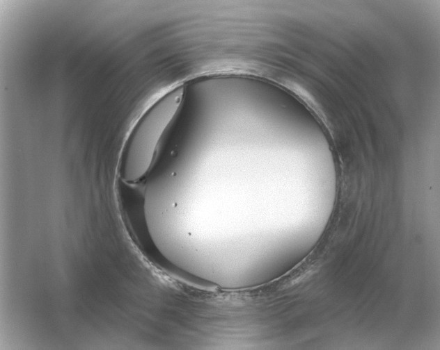 X0000063510901200602172143