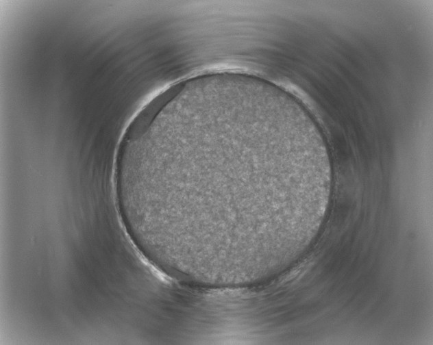 X0000063510902200602172143