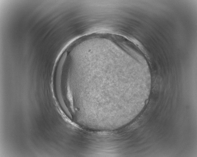 X0000063510904200602172143