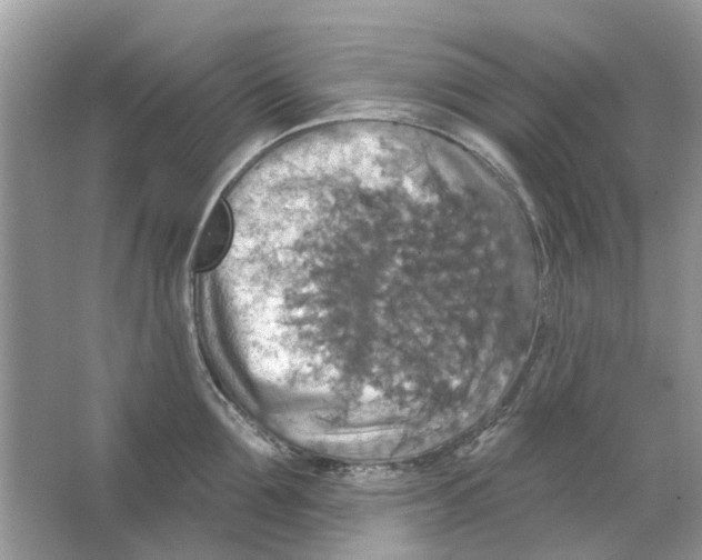 X0000063510907200602172143