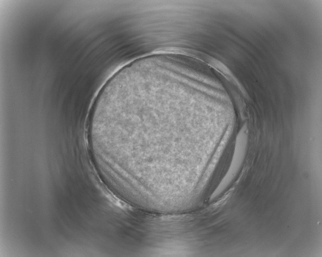 X0000063510908200602172143