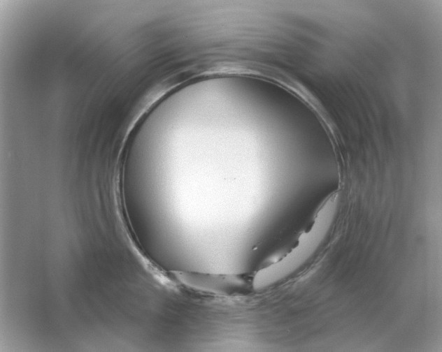 X0000063510909200602172143