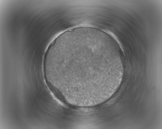 X0000063510910200602172143