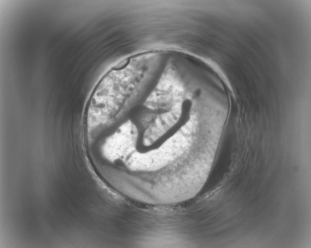 X0000063510911200602172143