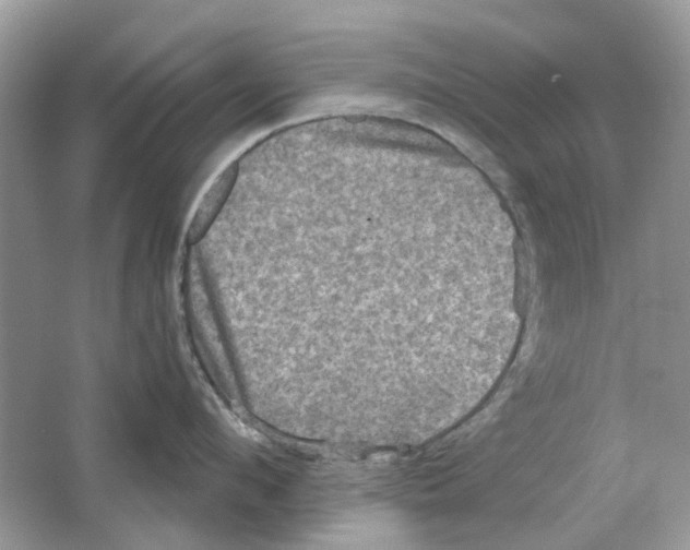 X0000063510912200602172143