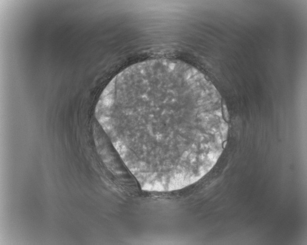 X0000063510913200602172142