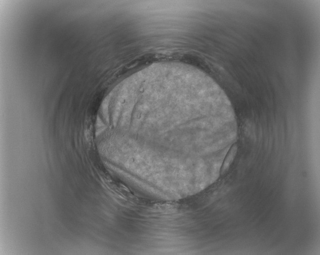 X0000063510914200602172142